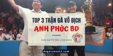 tran ga vo dich phuc binh duong 1-10
