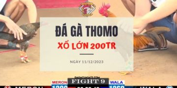 da ga 200tr ngay 11-12-2023