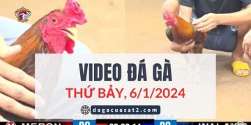 daga-cua-sat-6-1-2024