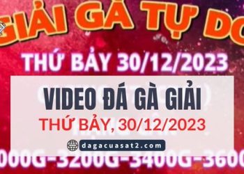 daga-giai-30-12