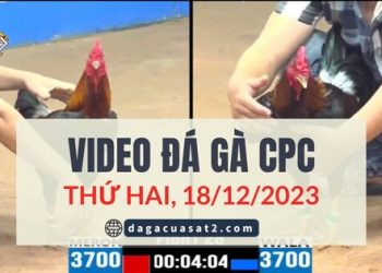 video dagacuasat ngay 18-12-2023