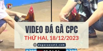 video dagacuasat ngay 18-12-2023