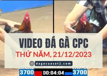 video dagacuasat ngay 21-12-2023