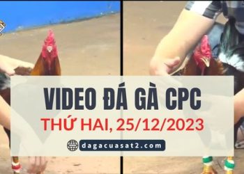 video dagacuasat ngay 25-12-2023