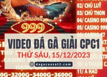 video ga da giai ngay 15-12
