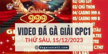 video ga da giai ngay 15-12