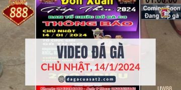 Đá Gà GIẢI Campuchia 14/1/2024