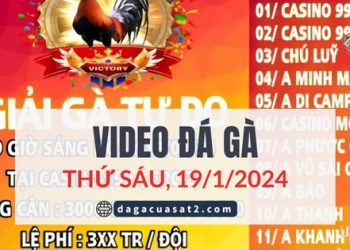 da-ga-giai-19-1-2024