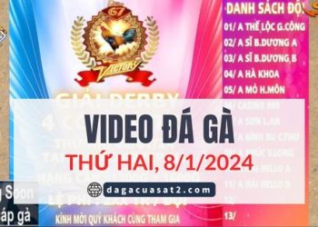 da-ga-tre-giai-8-1-2024