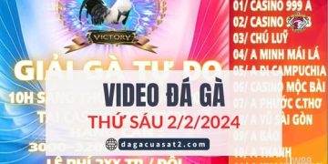 Clip Đá Gà nòi giải Tự Do 999 ngày 2/2/2024 (CPC2/ CPC3)