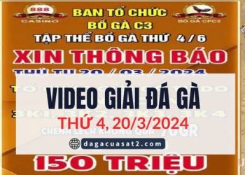 Full Giải đá gà tự do C3 Thomo Campuchia 20/3/2024