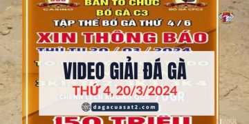 Full Giải đá gà tự do C3 Thomo Campuchia 20/3/2024