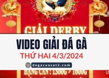 da-ga-giai-c1-4-3-2024