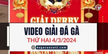 da-ga-giai-c1-4-3-2024