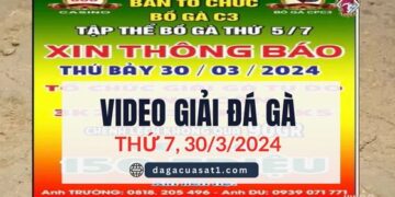 giai ga cpc3 30-3-2024