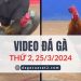 Video Đá Gà Thomo Ngày 25/3/2024 (CPC3/ CPC1)