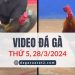Video Đá Gà Thomo Ngày 28/3/2024 (CPC3/ CPC1)