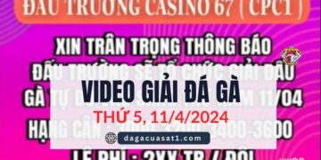 Full Giải Đá Gà Tự Do Thomo Ngày 11/4/2024 (CPC3/ CPC1)