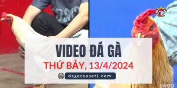 Clip Đá Gà Campuchia ngày 12/4/2024