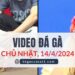 Clip Đá Gà Campuchia ngày 12/4/2024