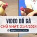 Clip Đá Gà Campuchia ngày 12/4/2024