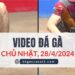 Clip Đá Gà Campuchia ngày 12/4/2024