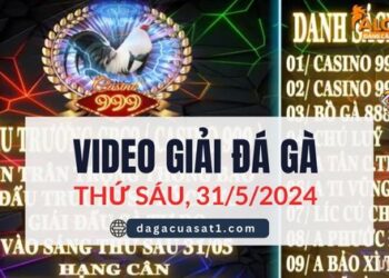 Full Giải Đá Gà Tự Do Campuchia ngày 31/5/2024 (CPC2/CPC3)