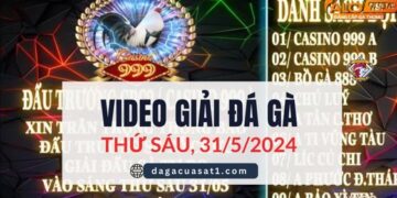 Full Giải Đá Gà Tự Do Campuchia ngày 31/5/2024 (CPC2/CPC3)