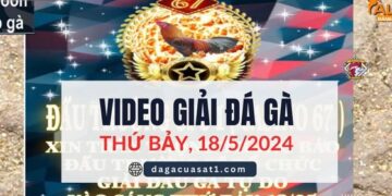 FULL Giải Đá Gà Tự Do CPC1/CPC3 ngày 18/5/2024