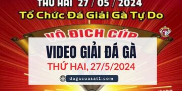 Giải Đá Gà Tự Do Thomo Ngày 27/5/2024 (CPC3/ CPC1)
