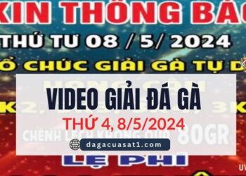 giai ga cpc3 8-5-2024