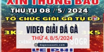 giai ga cpc3 8-5-2024