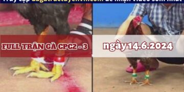 Clip Đá Gà Campuchia ngày 14/6/2024 (CPC2/CPC3)