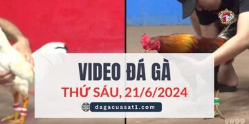 Clip Đá Gà Campuchia ngày 21/6/2024 (CPC2/CPC3)