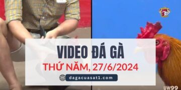 Video Đá Gà Thomo Ngày 27/6/2024 (CPC3/ CPC1)