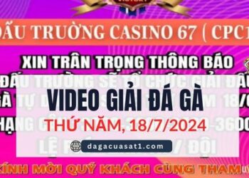 Full Giải Đá Gà Tự Do Thomo Ngày 18/7/2024 (CPC3/ CPC1)