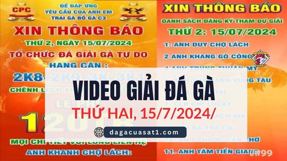 FULL Giải Đá Gà Thomo Ngày 15/7/2024 (CPC3/ CPC1)