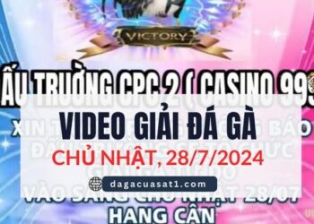 giai ga cpc2 28-7-2024