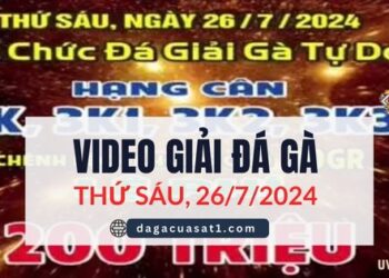 Full Giải Đá Gà Tự Do Campuchia ngày 26/7/2024 (CPC2/CPC3)