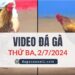 Video Đá Gà Thomo Ngày 2/7/2024 (CPC3/ CPC1)