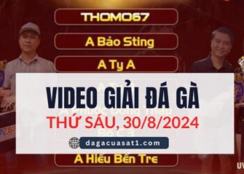 Clip Đá Gà Campuchia ngày 30/8/2024 (CPC2/CPC3)