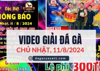 FULL Giải Đá Gà Tự Do Campuchia ngày 11/8/2024 (CPC2/CPC3)