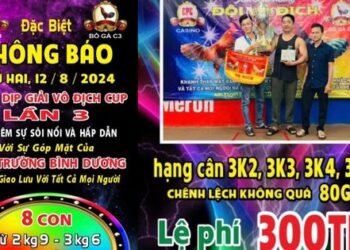 Full Giải Vô Địch Cup C3 Ngày 12/8/2024 (CPC3/ CPC1)