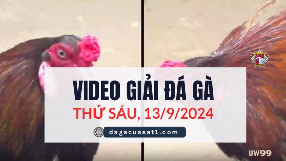 Clip Đá Gà Campuchia Ngày 13/9/2024 (CPC2/CPC3)