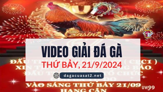 Video Đá Gà Thomo Giải 21/9/2024 (CPC3/ CPC1)