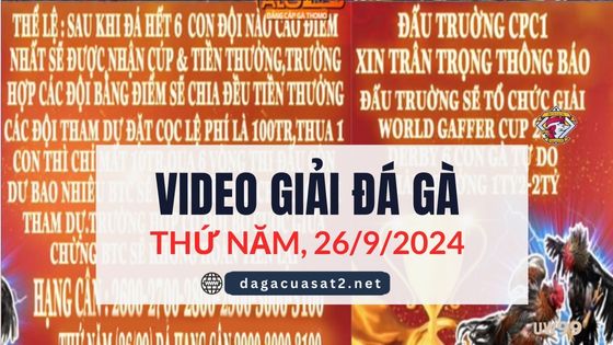 Video đá gà Giải Derby 6 con gà tự do Thomo 26/9/2024 ( CPC1 và CPC3)