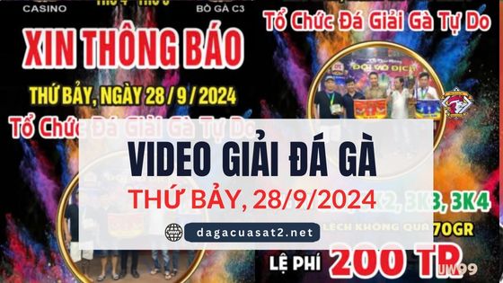 Video Đá Gà Thomo Ngày 28/9/2024 (CPC3/ CPC5)