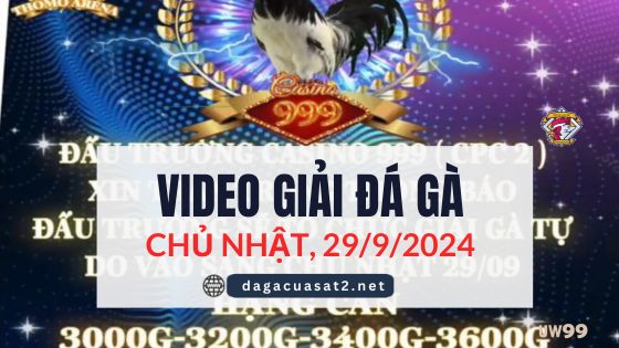Clip Đá Gà Campuchia Ngày 29/9/2024 (CPC2/CPC3)