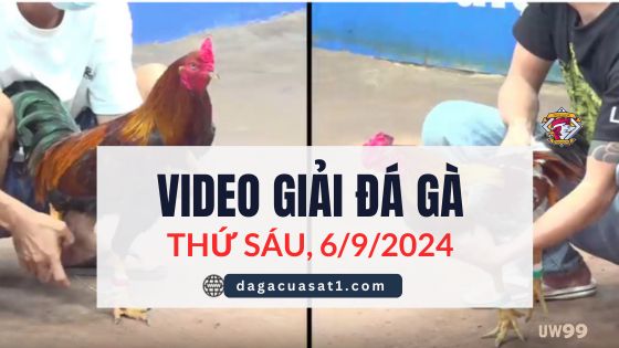 Clip Đá Gà Campuchia ngày 6/9/2024 (CPC2/CPC3)