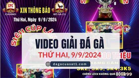Trực tiếp Giải đá gà siêu cúp lần 2 Ngày 9/9/2024 (CPC3/ CPC1)
